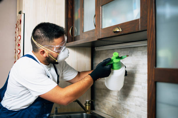 Best Residential Pest Control  in Mexico, MO