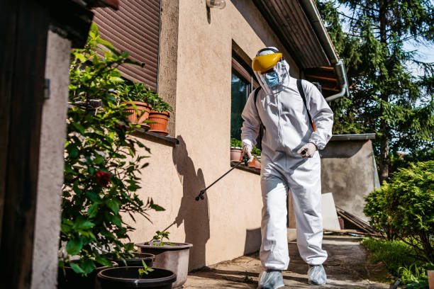 Best Best Pest Control Companies  in Mexico, MO