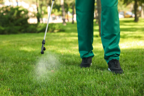 Best Wasp Removal Services  in Mexico, MO