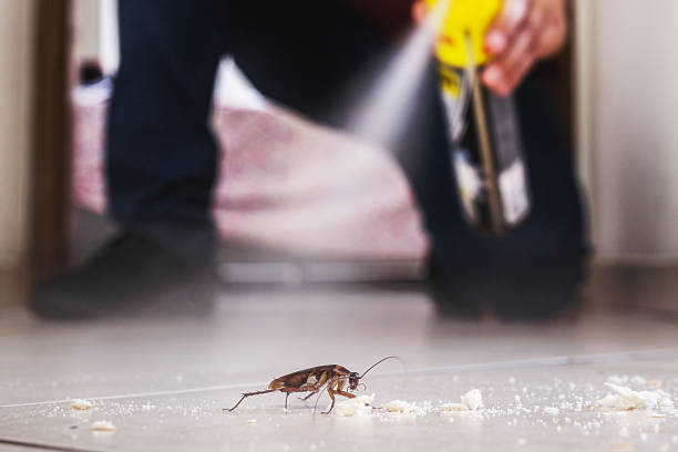Best Pest Control for Restaurants  in Mexico, MO