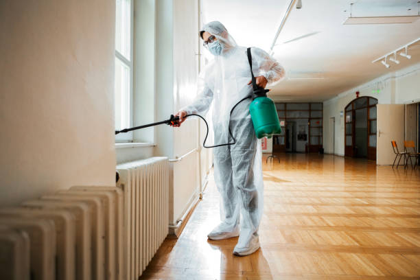 Best Rat Extermination Near Me  in Mexico, MO
