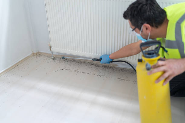 Pest Control for Restaurants in Mexico, MO